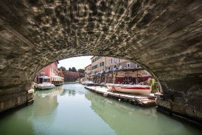 THE CANALS OF LIVORNO cover image